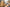 Bulk Packs vs Pre Order: Which Wins?