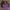 30x N3B STYLE JACKETS (24HR DISPATCH)