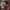 25KG Racing Mix Sack - Best Vintage Wholesale
