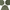 Army/Military Shirts - Best Vintage Wholesale
