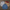 Branded Shirts - Best Vintage Wholesale