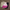 25x-womenswear-mix-best-vintage-wholesale-qCT