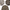 Real Tree Shirts - Best Vintage Wholesale