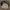 Army/Military Sweatshirts - Best Vintage Wholesale