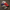 BRANDED USA PRO SPORT HATS Best Vintage Wholesale
