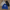Branded Polyester Hoodies - Best Vintage Wholesale