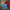 Branded Surfwear Mix - Best Vintage Wholesale