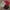 Clearance Mix - Best Vintage Wholesale