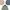 Pendleton Shirts - Best Vintage Wholesale