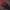 Ralph Lauren Puffer Jackets - Best Vintage Wholesale