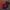 Ralph Lauren Women's T-Shirts - Best Vintage Wholesale